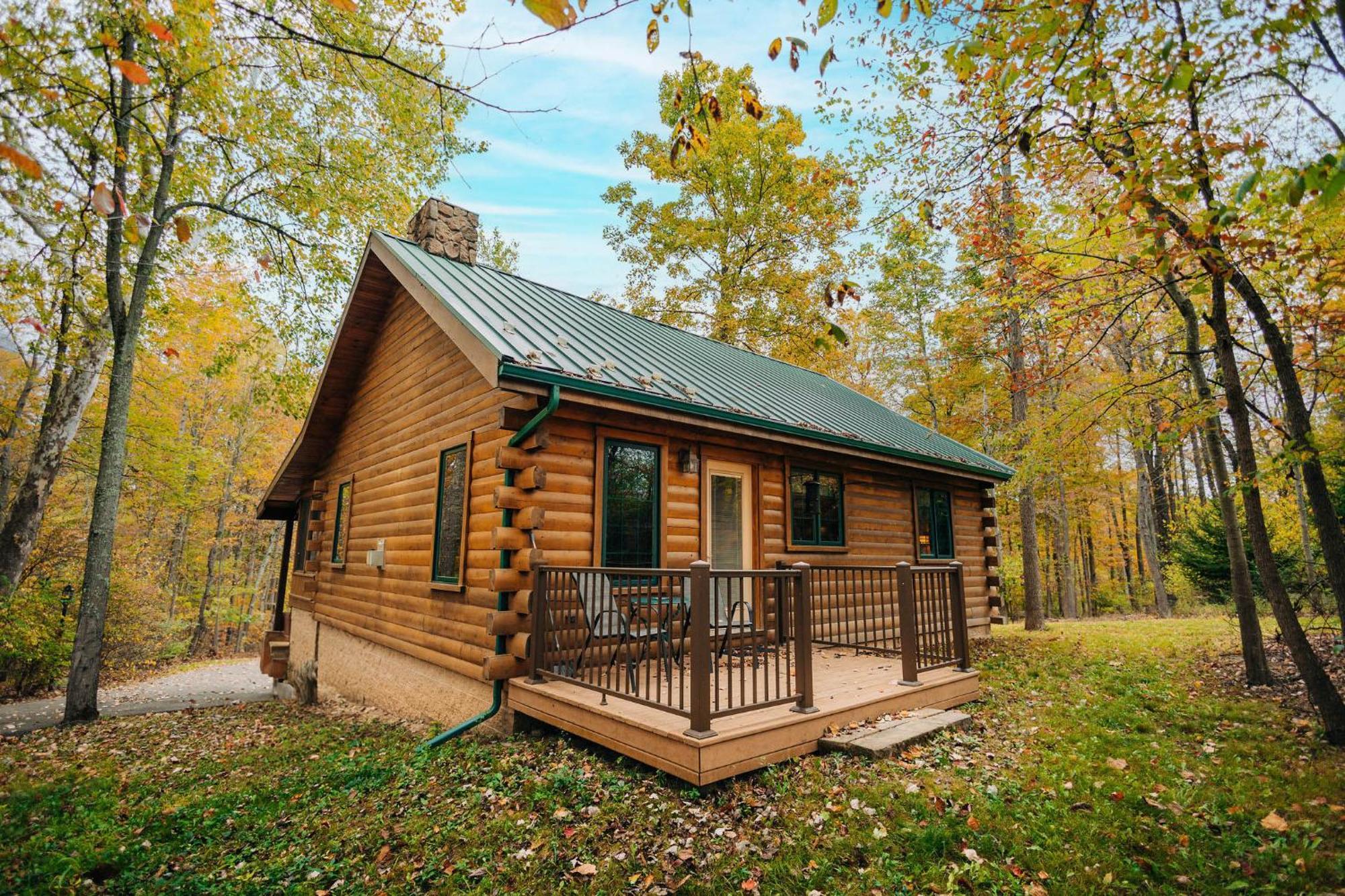 Ferngully Creek Cabins Millersburg Dış mekan fotoğraf